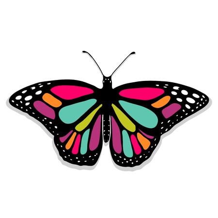 Realistic butterfly illustration.のイラスト素材