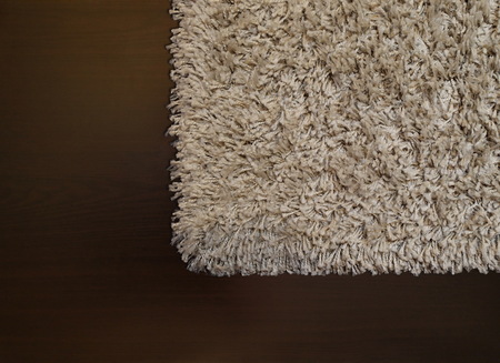 Beige shaggy carpet on wenge floorの写真素材