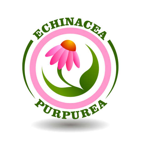 Vector circle logo Echinacea Purpurea with purple daisy flower symbol in round pictogram for organic cosmetics sign, natural food labeling tags and aurveda herbal medicine products packaging contain pink Coneflowerのイラスト素材