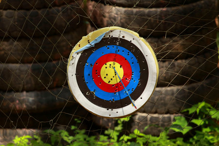 Target  champion play