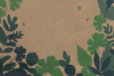 Leaves on Brown Paperの写真素材