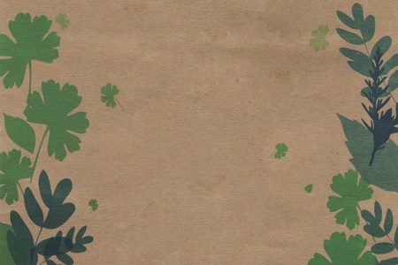 Leaves on Brown Paperの写真素材