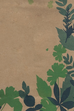 Leaves on Brown Paperの写真素材