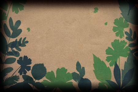 Leaves on Brown Paperの写真素材