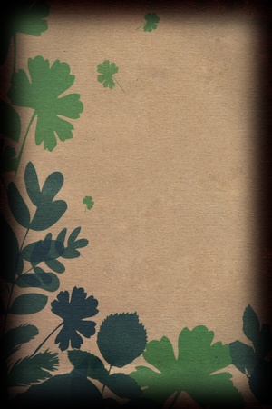 Leaves on Brown Paperの写真素材