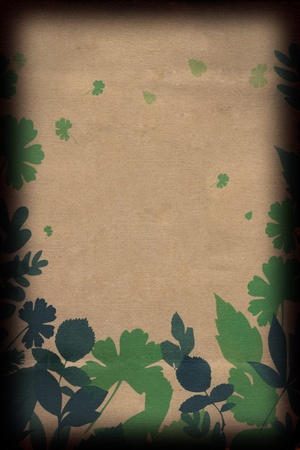 Leaves on Brown Paperの写真素材