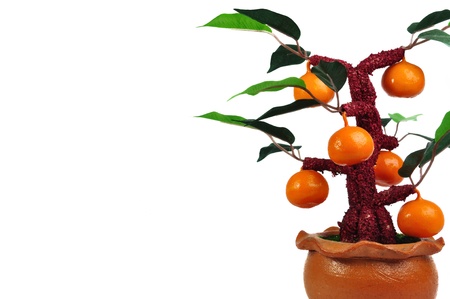 Fake orange tree isolated on white backgroundの写真素材