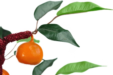 Fake orange tree isolated on white backgroundの写真素材