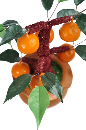 Fake orange tree isolated on white backgroundの写真素材