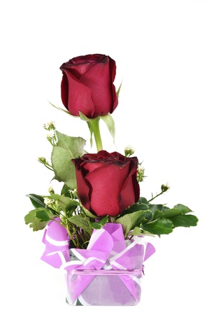 red roses isolated on whiteの写真素材