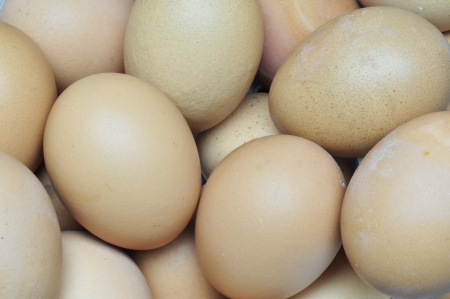 eggs are isolated on a white backgroundの写真素材