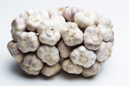 Group of garlic headsの写真素材