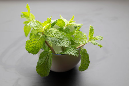 Mint in a pot