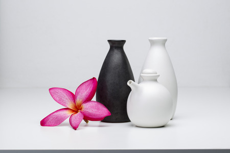 Plumeria flowerの写真素材