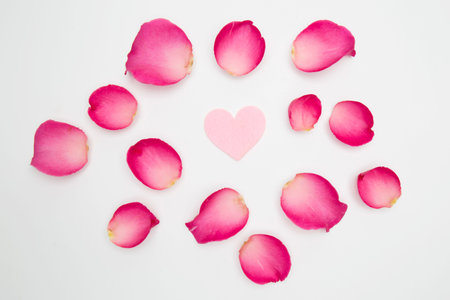 Roses flower with heath on white background