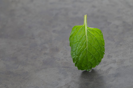 Fresh mint leaf