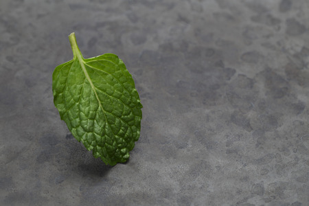 Fresh mint leafの写真素材