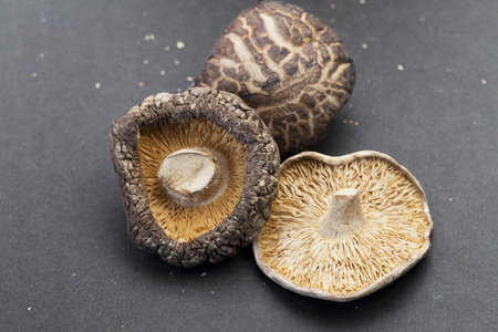 Shiitake Mushroom Texture Backgroundの写真素材