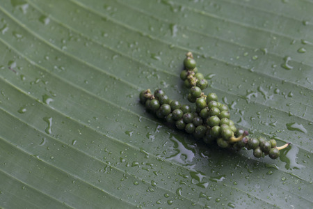 Fresh pepper on banana leafの写真素材