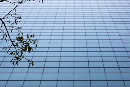 Looking up to skyscrapersの写真素材