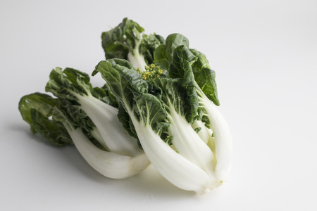 Baby bok choy on white backgroundの写真素材