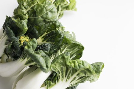 baby bok choy on white backgroundの写真素材