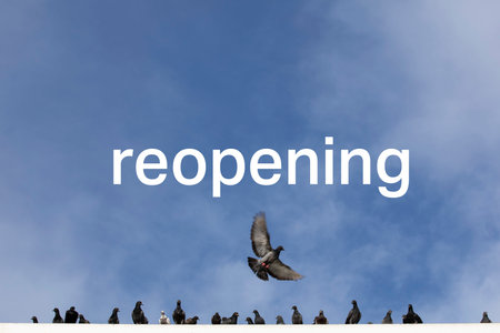 Reopen your business after   conceptの写真素材