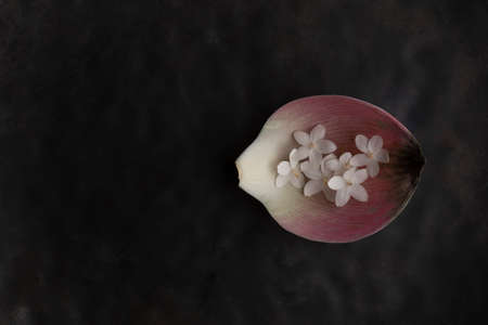 Flower arrangements add to the atmosphere in the shop.の写真素材