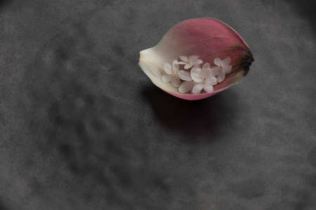 Flower arrangements add to the atmosphere in the shop.の写真素材