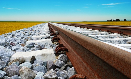 railroad rails in the middle of nature on their way to nowhere                  の写真素材