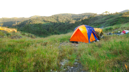 Camping in the wilderness mountain in Thailandの写真素材