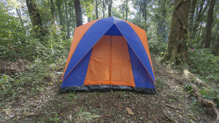 Camping in the wilderness mountain at Chiangmai, Thailandの写真素材