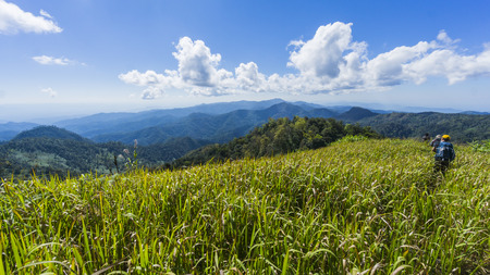 hiking with a backpack and mountain panorama, Chiangmai Thailandの写真素材
