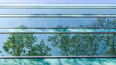 Glass window of office building, reflecting opposite treeの写真素材