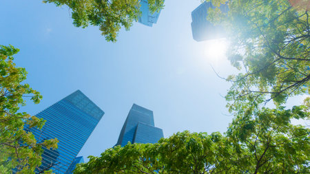 perspective exterior pattern blue glass wall modern buildings with green tree leaves