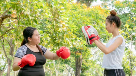 Fat woman dieting with fit cute girl fitness and training warm up and boxing at outdoor park garden.の写真素材