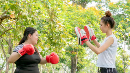 Fat woman dieting with fit cute girl fitness and training warm up and boxing at outdoor park garden.の写真素材