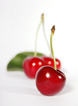 Cherryの写真素材