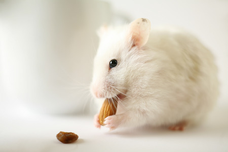 Breakfastの写真素材