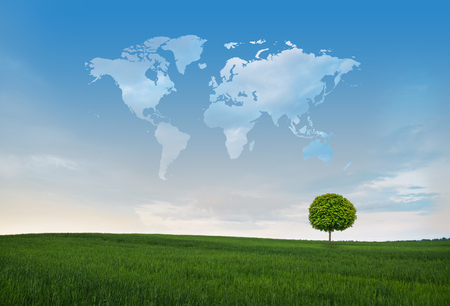 Green field with lone tree and clouds in shape of world map Green field with lone tree and clouds in shape of world map