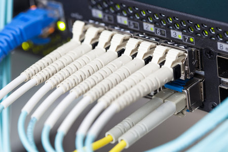 Optic fiber and SFP connected to switch.