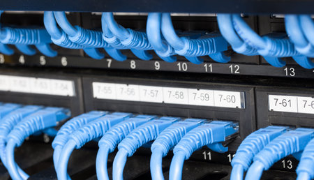 LAN Cable Connected to switch.