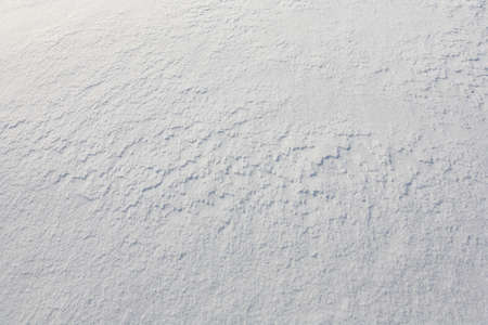 Snow surface. Winter texture for your artwork. Shot taken at winter 2010.の写真素材