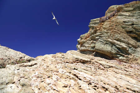 Rocks and seagull against a blue sky near Agia Pelagia, Crete Island, Greece, Europe.の写真素材