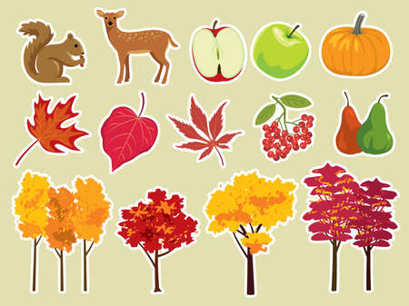 Various nature and autumn elements. More illustrations in my portfolio.のイラスト素材