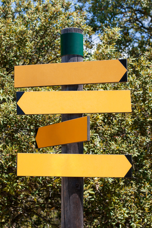 Wooden track pointer on the road in the woods sunny summer dayの写真素材