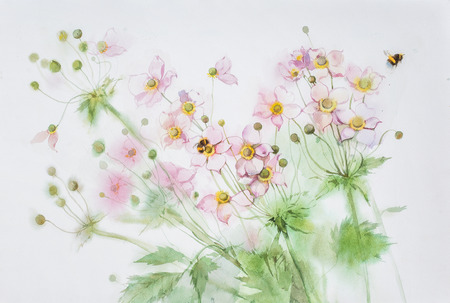 angled pink Anemone flowers and bumblebees. Colored watercolor on white backgroundの写真素材