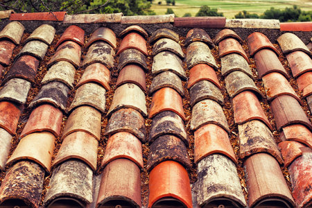 Roof titles have a lot of leafs close up