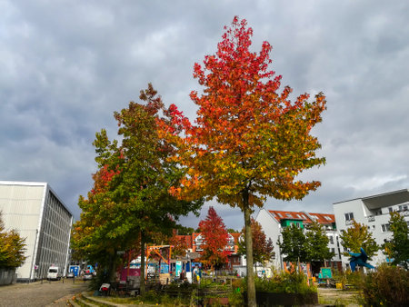 The colors of autumn under the gray skyの写真素材
