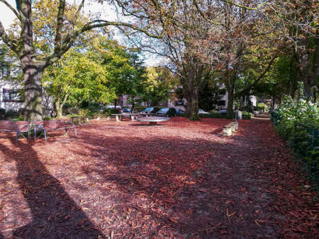 Autumn in the parkの写真素材